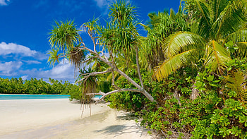 Cook Islands 2022, Travel guide, Australia, South Pacific HD wallpaper