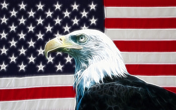 American Flag Eagle | *Cell | Pinterest | American flag eagle and backgrounds HD wallpaper