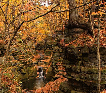 Natural beauty..., Twigs, Trees, Branches, Stream HD wallpaper