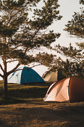 Nature, Trees, Relaxation, Rest, Camping, Campsite, Tents HD phone wallpaper