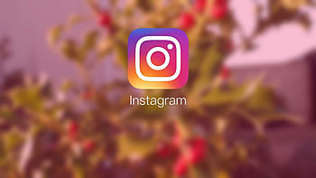 Instagram , Trendy visuals, Social media vibes, Digital connection HD wallpaper
