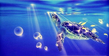 Turtle to the Light, blue, oceans, attractions in dreams, paintings, panoramic view, summer, turtle, love four seasons, animals, light, fish HD wallpaper