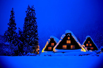 Blue Night, winter, snowy, landscape, houses, snow, trees, nature, cottage, winter time HD wallpaper