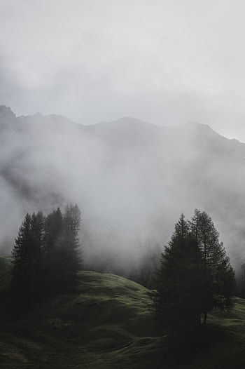 Nature, Trees, Mountains, Italy, Fog, Meadow HD phone wallpaper