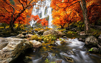 Autumn Waterfall, Fall, trees, waterfall, Autumn, water, rocks, forest HD wallpaper
