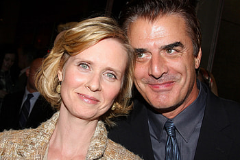 Chris Noth, Supporting Cynthia Nixon's campaign, Political involvement HD wallpaper