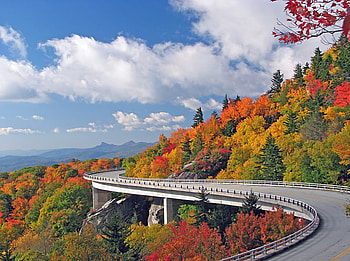 Autumn road, fall, landscape, bridge, autumn, road HD wallpaper