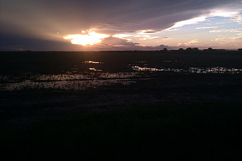 Texas Sunset, sunray, awsome, grass, reflection, pretty, field, clouds, sky, sun, sunset HD wallpaper