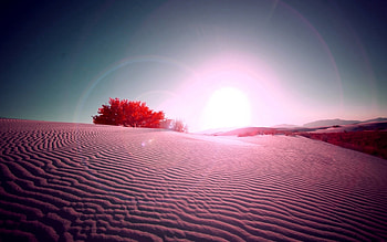 Landscape, Nature HD wallpaper