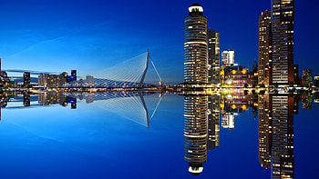 Rotterdam, Night Skylines HD wallpaper