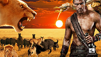 Wild life, snake, wild, lion, zebra HD wallpaper