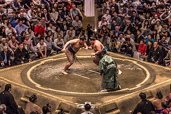 Kokugikan Arena, Sumo HD wallpaper