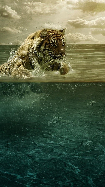 Best I , Underwater, Tiger HD phone wallpaper