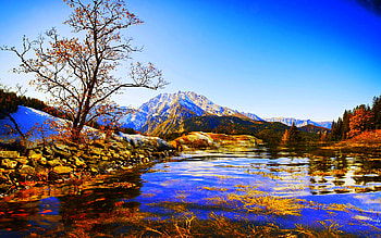 ALPS VIEW LAKE, plants, autumn, alps, lake, tree HD wallpaper