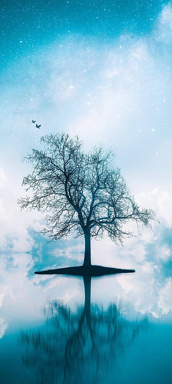 LoveLife, cloud, sky, blue HD phone wallpaper