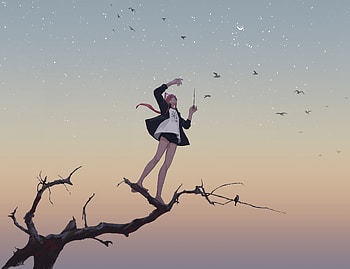 Relaxed, anime girl, birds, sunset, sky, art HD wallpaper