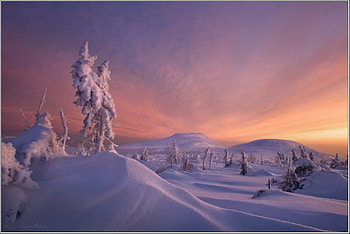 winter sunset, winter, snow, beautiful, nature, sunset HD wallpaper