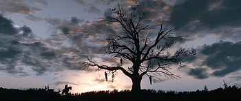 Video Game - The Witcher 3: Wild Hunt HD wallpaper