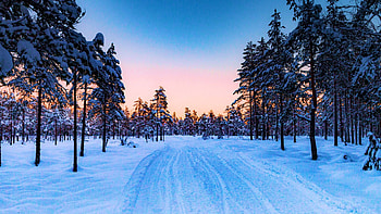 Norwegian Road in Winter, snow, frost, scandinavia, landscape, trees, sky, forest, sunrise HD wallpaper