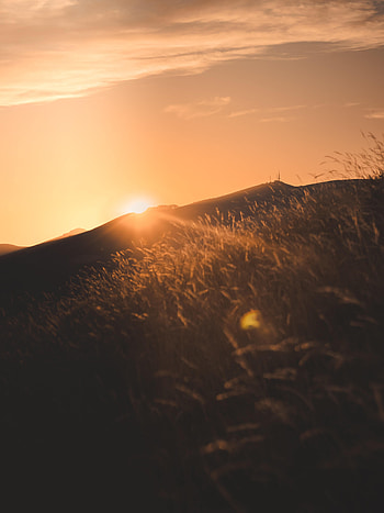 Nature, Sunset, Sun, Beams, Rays, Slope, Hill HD phone wallpaper