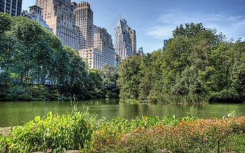 Nature, Trees, City, Building, Lake, Forest HD wallpaper