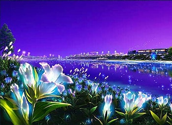 Lighting Flowers, night, scenery, lighting, 3d, light, kagaya, beautiful, flowers HD wallpaper