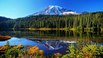 reflecting Lake, reflection, snow, trees, nature, mountains, forest, lake HD wallpaper