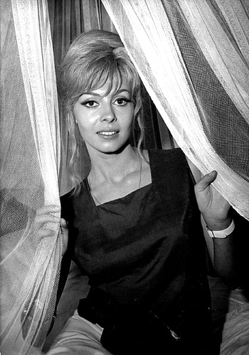 Michele Mercier, Iconic actress, Classic cinema, Timeless elegance HD phone wallpaper
