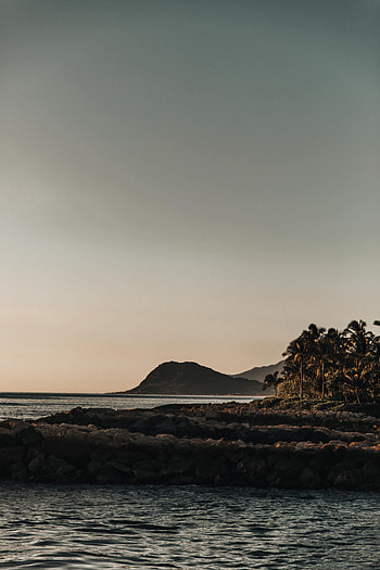 Nature, Mountains, Sea, Palms, Rocks HD phone wallpaper