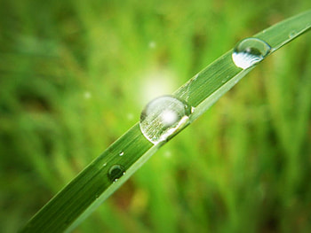 diamond drop, shines, nice HD wallpaper