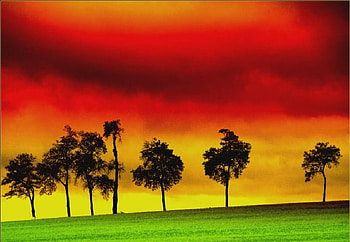 reggae, colourfull, bob marley, bob HD wallpaper