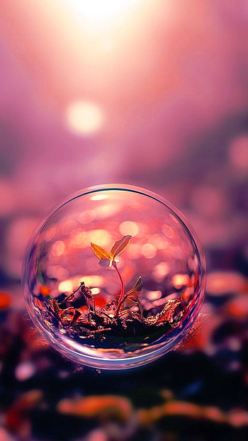 3D for Whatsapp DP. Bubbles , Cool for 7, Beautiful macro graphy, Couple DP HD phone wallpaper