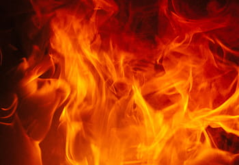 A striking close-up of vibrant orange flames, conveying heat and energy. HD wallpaper