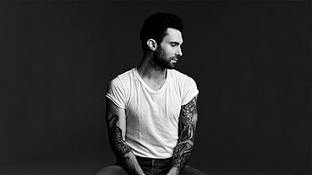 Adam Levine, Aesthetic , Vocal prowess, Star power HD wallpaper