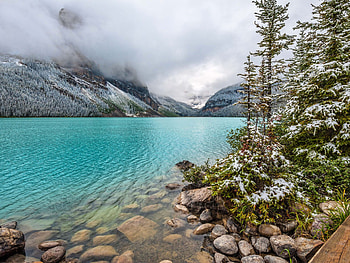 Lake Louise, Turquoise lake, Snow-capped peaks, Breathtaking scenery HD wallpaper