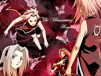 Sakura, cute, girl, pink, anime HD wallpaper