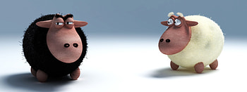 Multi Monitor Dual Screen Funny Sheep / and Mobile Background, Dual Monitor Cat HD wallpaper
