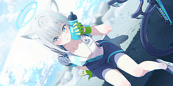 Blue Archive Shiroko, Sit, Animal Ear, Bike, Sport HD wallpaper