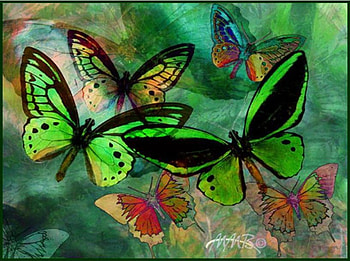 Green Butterfly Fantasy, butterflies, green background, art HD wallpaper