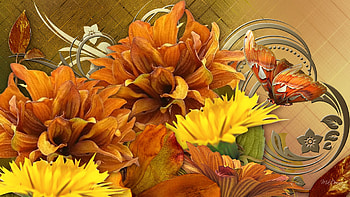 Golden Glory, butterfly, firefox persona, dahlias, dandelion, fall, autumn, chrysanthemums, gold HD wallpaper