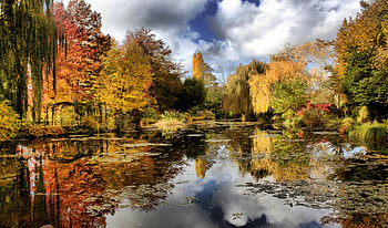 Autumnal Reunion On The Lagoon, beautiful, lagoon, reflection, green, yellow, red, clouds, trees, autumn HD wallpaper