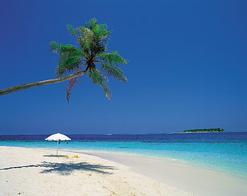 Caribbean Beach | HD wallpaper