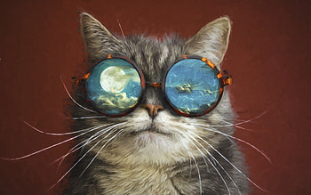 Cat, night, blue, animal, pisica, creative, reflection, moon, fantasy, sunglasses, red, luna, funny HD wallpaper