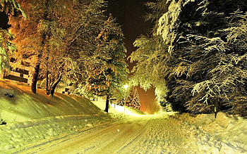 Landscape, Winter, Trees, Night, Snow HD wallpaper