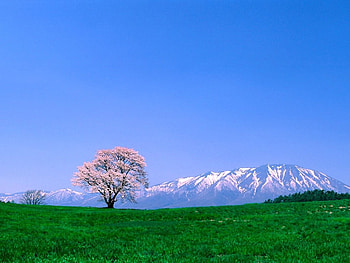 nature sky, sky, nature, landscap HD wallpaper