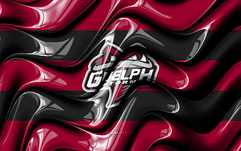 Guelph Storm flag, , purple and black 3D waves, OHL, canadian hockey team, Guelph Storm logo, hockey, Guelph Storm, Canada HD wallpaper