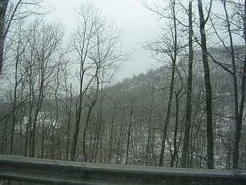 allegheny mountains 1, altoona, woods, gallitzin, forest HD wallpaper