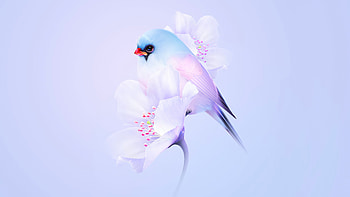 Birds Minimal, birds, ai, artist, artwork, digital-art HD wallpaper