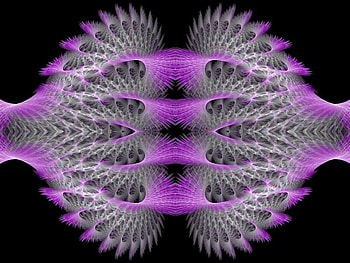 Feathered Folds, feathered, purple, white, fractal, folds HD wallpaper
