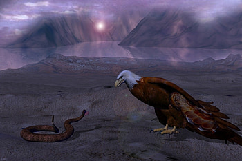 A DESERT DANCE, snake, desert, dance, eagle HD wallpaper
